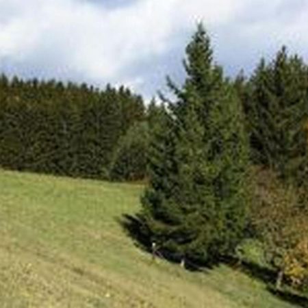 Landgasthof Hauser Immendingen Exteriér fotografie