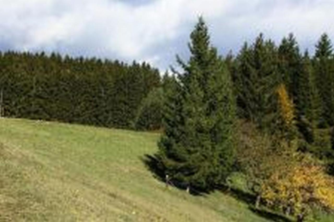 Landgasthof Hauser Immendingen Exteriér fotografie